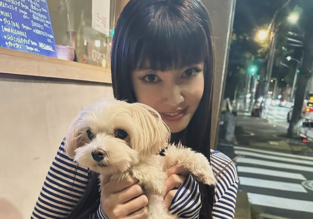 松下萌子 学歴